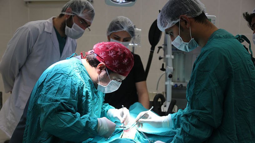 Şimşek: Amaç ceza değil kayıt dışını vergilendirmek