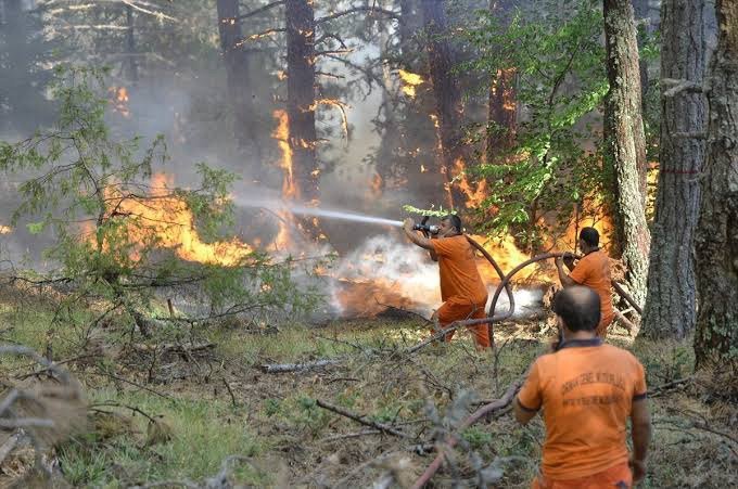 ORMAN YANGIN İŞÇİLERİ!